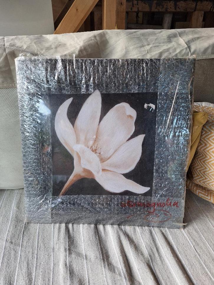 Canvas Schilderij, Huis en Inrichting, Woonaccessoires | Schilderijen, Tekeningen en Foto's, Nieuw, Schilderij, Minder dan 50 cm