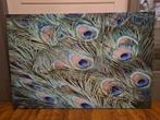 Groot canvas schilderij pauwenveren 105x70, Ophalen, Zo goed als nieuw, Schilderij, 75 cm of meer