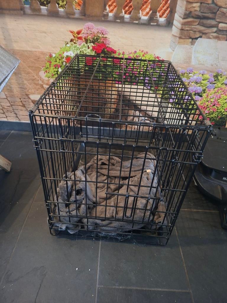 Bench TEAB.   60 cm breed, 43 cm diep en 51,5 cm hoog, Ophalen