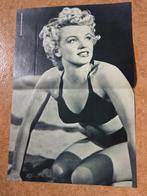 Poster van Marilyn Monroe uit 1991, Ophalen of Verzenden