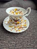 Royal Albert Woodland Robin Kop en Schotel, Ophalen of Verzenden