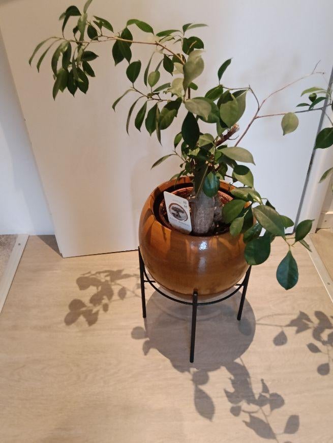 bloempot, Tuin en Terras, Bloempotten, Ophalen, Rond, Binnen, Zo goed als nieuw