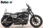 Harley-Davidson XL 883 N Sportster Iron (bj 2019), Overige merken, Chopper, 883 cc, Meer dan 35 kW
