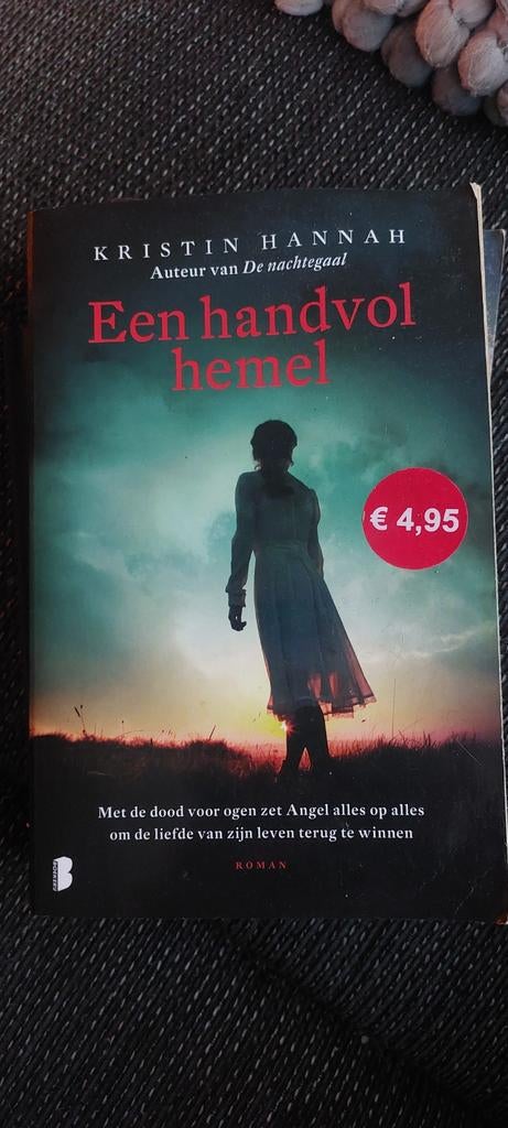 Een handvol hemel - Kristin Hannah, Ophalen of Verzenden