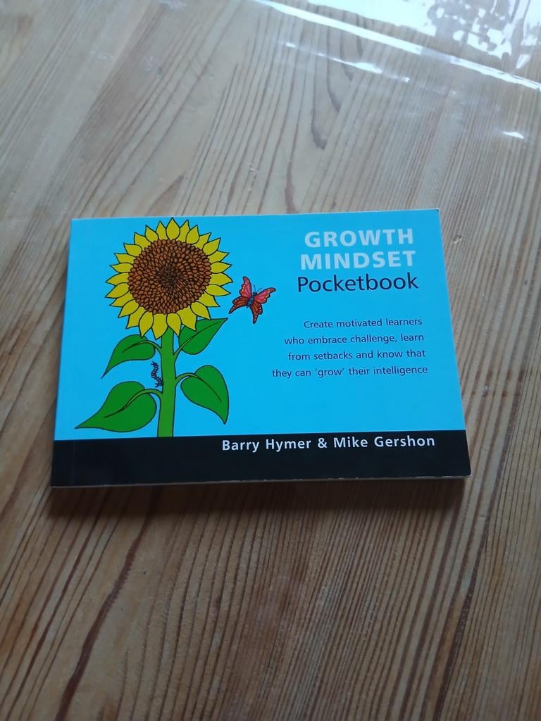 Growth Mindset Pocketbook - Barry Hymer & Mike Gershon, Ophalen of Verzenden, Gelezen, Barry Hymer & Mike Gershon