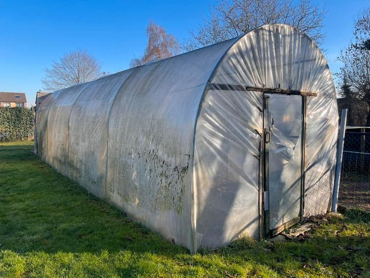 Grote tuinkas, Tuin en Terras, Kassen, Gebruikt, Kweekkas, Staal, Folie, Ophalen