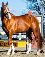 Bijrijder/bijrijdster gezocht, Ophalen