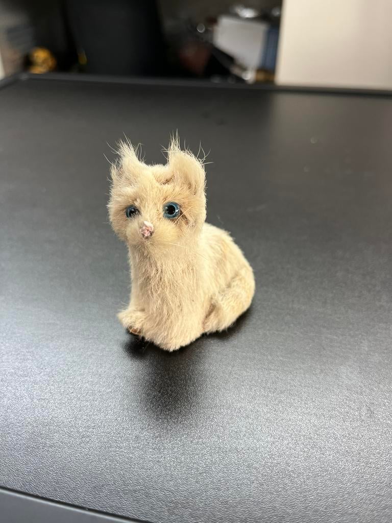 70 jaren puntenslijper Poesje met vacht, Ophalen of Verzenden, Zo goed als nieuw