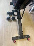 Fitnessbank Bench 900 Decathlon met 2 dumbbells 10 kg, Ophalen, Zo goed als nieuw, Armen, Fitnessbank