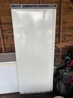 Horeca koelkast, Ophalen, 200 liter of meer, 60 cm of meer, 160 cm of meer