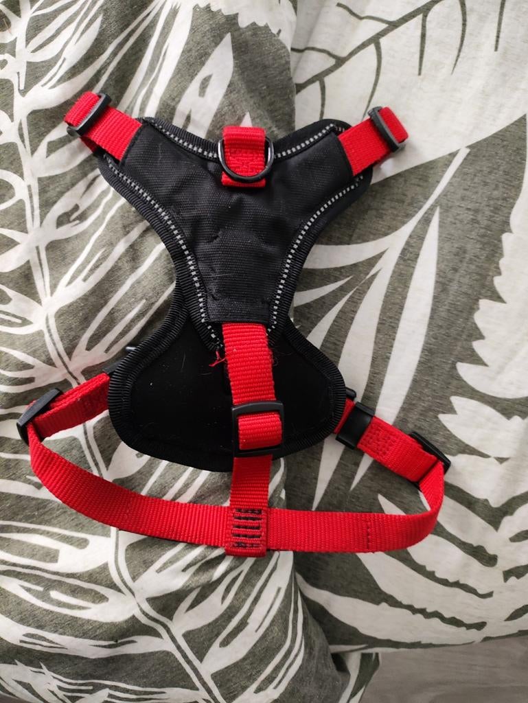 Y tuig parinca beeztees maat 45-57x20, Dieren en Toebehoren, Ophalen of Verzenden, Gebruikt, Hondenriem