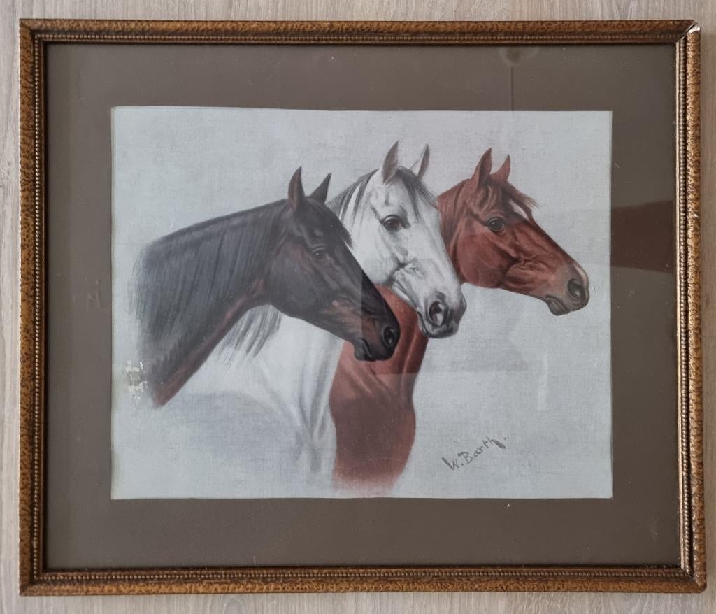 'W. Barth - 3 paarden litho, Antiek en Kunst, Kunst | Litho's en Zeefdrukken, Ophalen of Verzenden