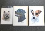Robert J. May kaarten Rottweiler Jack Russell Cairn Terrier, Ophalen of Verzenden, 1980 tot heden, Ongelopen, Hond of Kat
