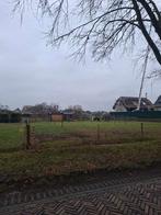 Weiland voor pony te huur bij Meppel, Dieren en Toebehoren