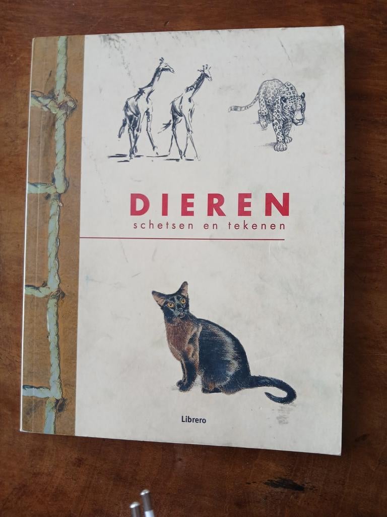 WD015. Boys - Dieren tekenen & schetsen, Boeken, Hobby en Vrije tijd, Zo goed als nieuw, Ophalen of Verzenden