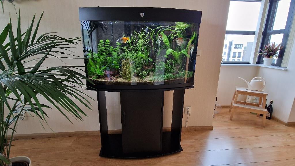 aquarium, Dieren en Toebehoren, Ophalen, Overige merken, Inclusief vissen, Gevuld zoetwateraquarium