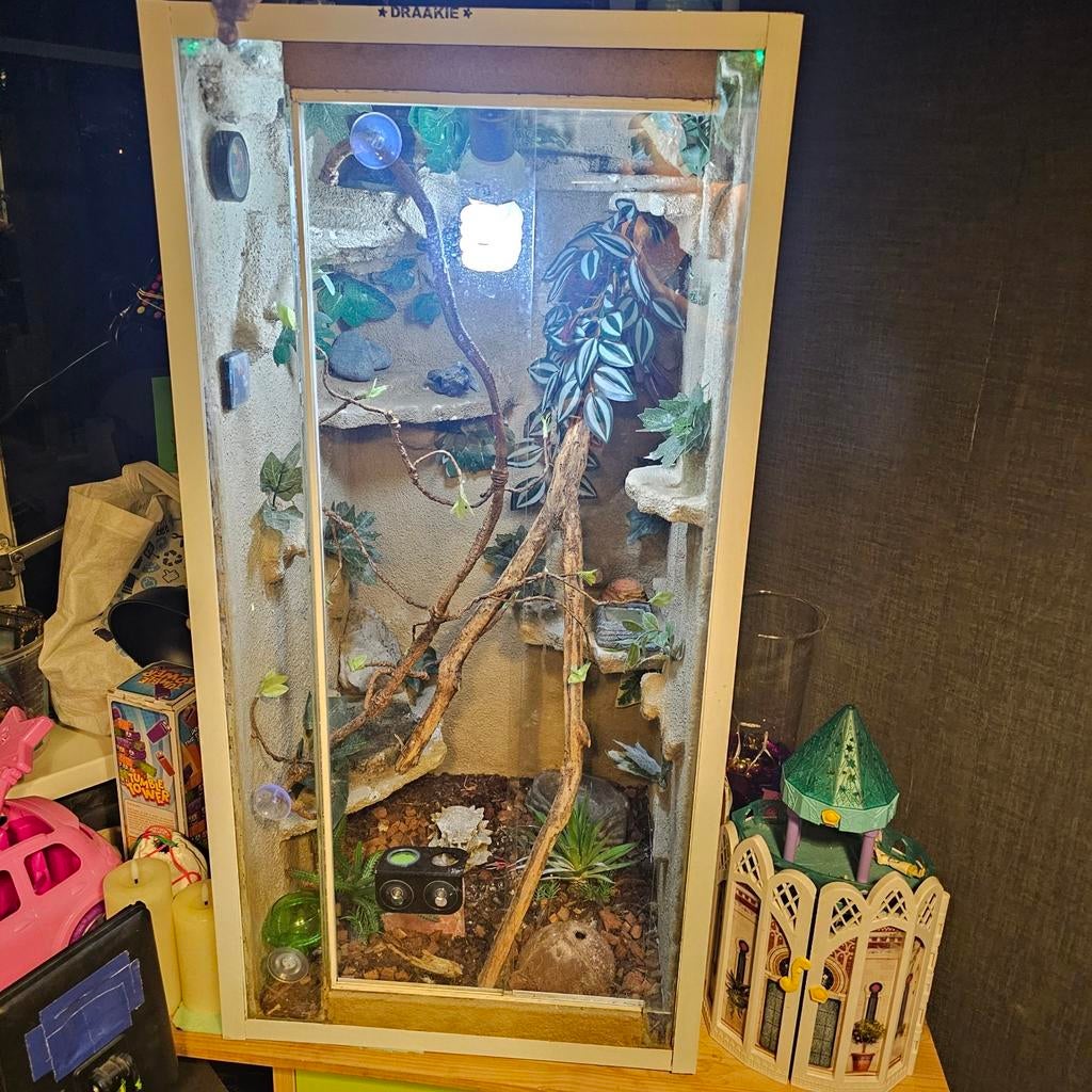 Terrarium te koop, Dieren en Toebehoren, Ophalen, Zo goed als nieuw, Terrarium of Paludarium