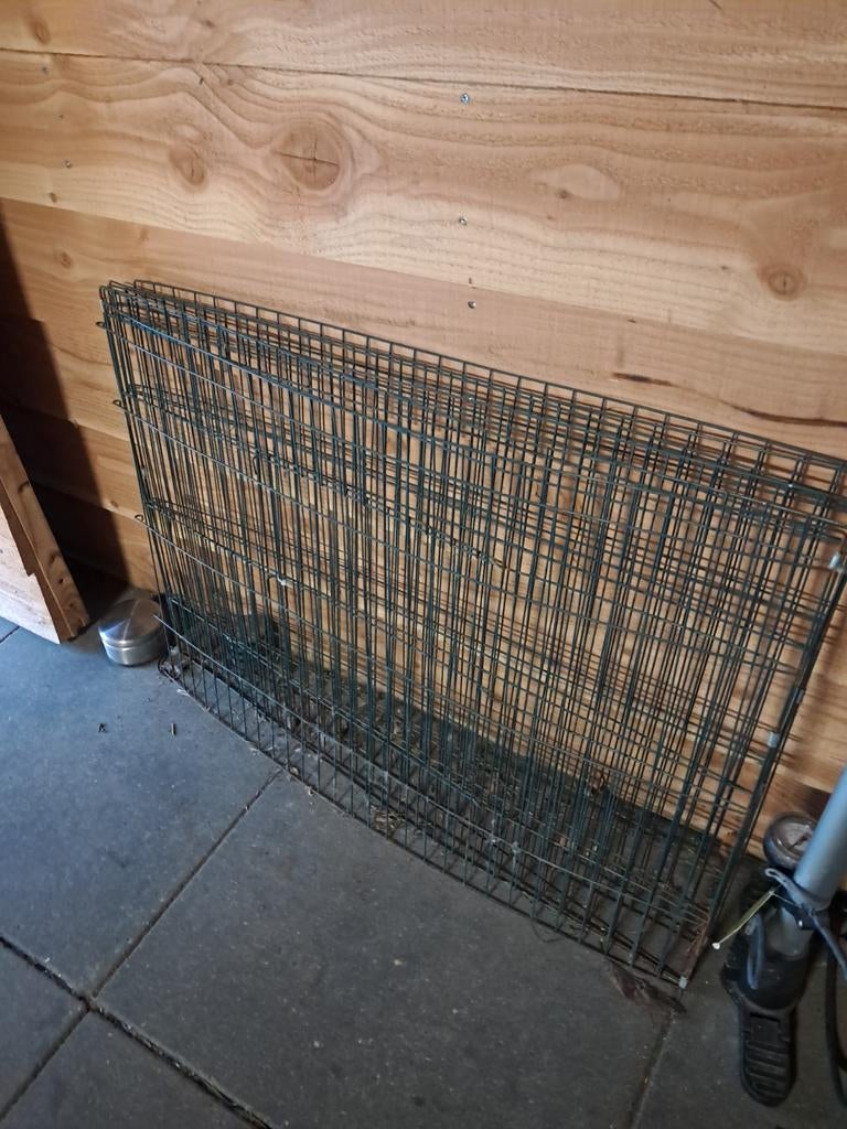 Buiten ren, Dieren en Toebehoren, Ophalen, 110 cm of meer