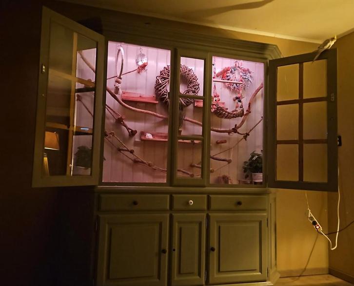 Vogelkooi vogelkast volière binnen volière, Dieren en Toebehoren, Vogels | Parkieten en Papegaaien, Parkiet, Meerdere dieren