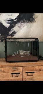 Aquarium 65 liter, Dieren en Toebehoren, Vissen | Aquaria en Toebehoren, Ophalen of Verzenden, Gebruikt, Leeg aquarium