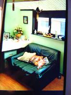 2 Persoons zetel, Ophalen, Kunststof, Gebruikt, 75 tot 100 cm