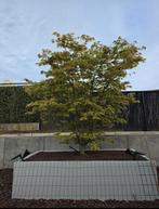 Aluminium bloembak 200x100x50cm, Tuin en Terras, Bloembakken en Plantenbakken, Gebruikt, 100 cm of meer, Ophalen of Verzenden