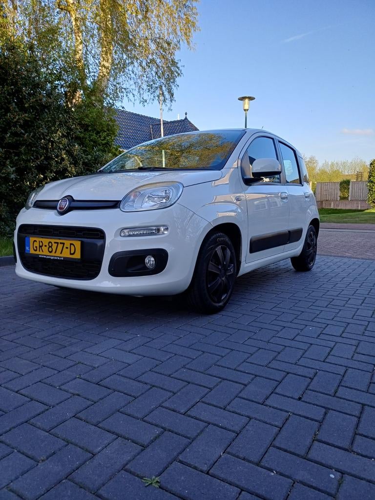 Fiat Panda luxe uitvoering "scherpe prijs", Auto's, Fiat, Voorwielaandrijving, Stof, 31 €/maand, Panda