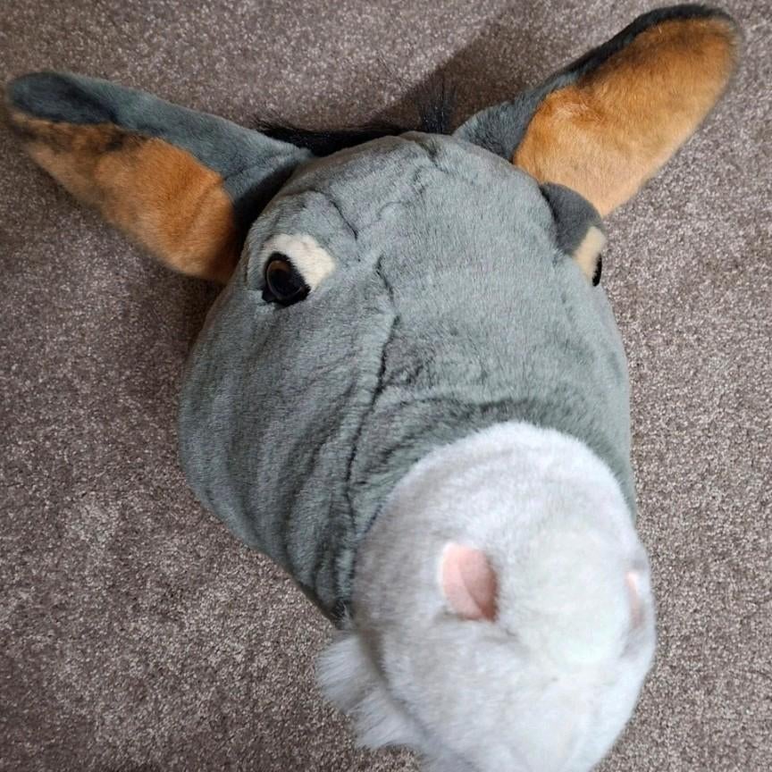 Dierenhoofden voor aan de muur (leeuw en ezel), Ophalen of Verzenden