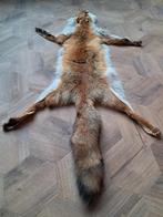 Mooie natuurlijke vossenvacht – decoratie / taxidermie – goe, Ophalen of Verzenden, Zo goed als nieuw, Wild dier, Opgezet dier