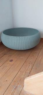 Mooie nieuwe kat of hond mand curver  nieuw, Ophalen, Nieuw