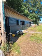 unieke agrarische plek voor paardenhouder te huur, Dieren en Toebehoren, Stalling en Weidegang, Weidegang, 4 paarden of pony's of meer