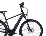 Pegasus PREMIO EVO 10 LITECOMFORT 500WH Heren va:3999 NU1999, Fietsen en Brommers, Elektrische fietsen, Overige merken, -, - 0
-, NL