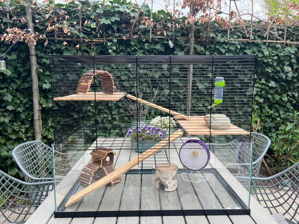 Terrarium met kooi voor knaagdieren 80 x 65 x 45 cm, Dieren en Toebehoren, Kooi, 60 tot 90 cm, Ophalen of Verzenden, 75 tot 110 cm