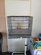 Zwarte honden bench nr 895, Dieren en Toebehoren, Ophalen, Hondenkennel, Gebruikt, Minder dan 65 cm