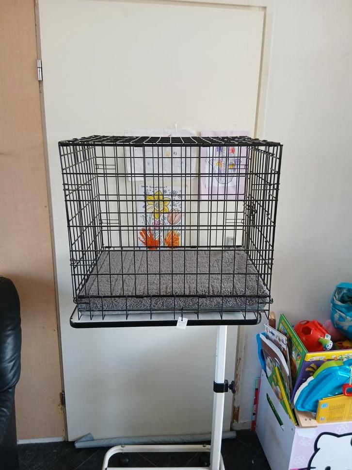 Zwarte honden bench nr 895, Dieren en Toebehoren, Hondenhokken, Gebruikt, Hondenkennel, Minder dan 65 cm, 75 tot 110 cm, Ophalen