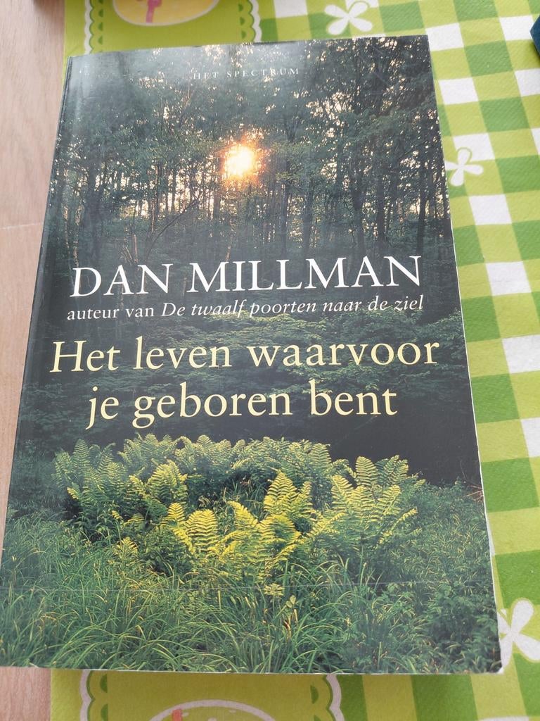 Het leven waarvoor je geboren bent - Dan Millman, Achtergrond en Informatie, Spiritualiteit algemeen, Ophalen of Verzenden, Dan Millman