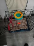 Kleine bench, Ophalen, Hondenkennel, 65 tot 100 cm, Zo goed als nieuw