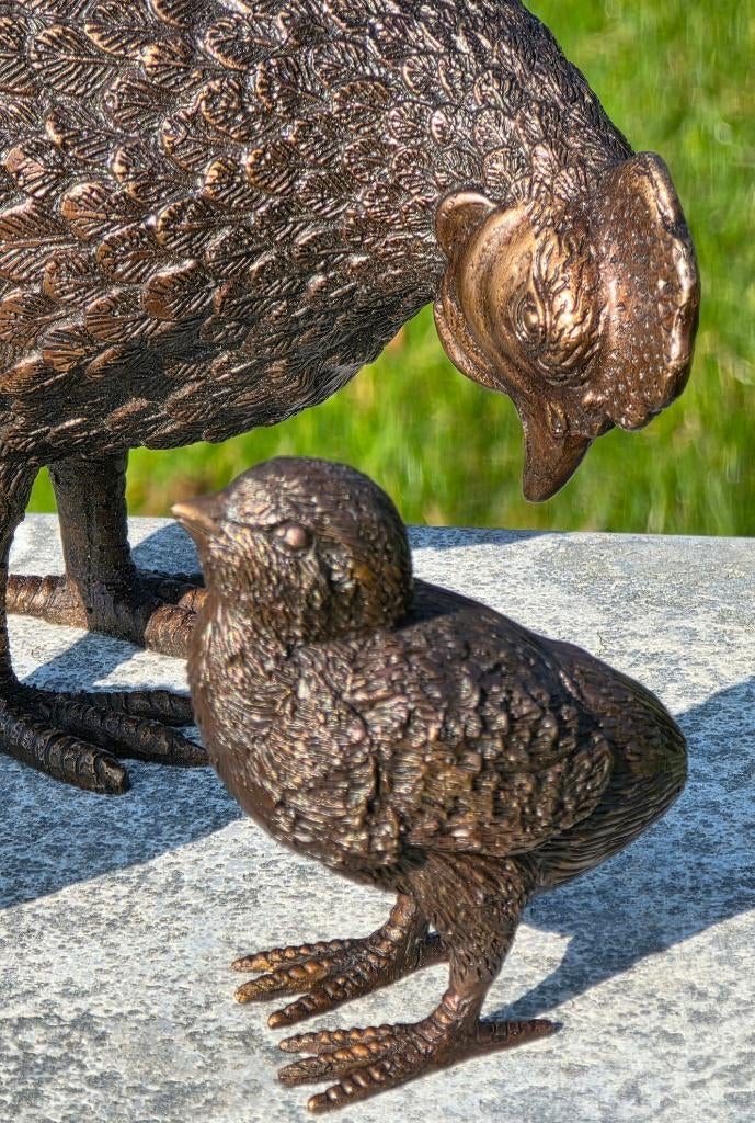 KIP MET KUIKENS / Bronzen tuinbeeld / HEN, Dierenbeeld, Nieuw, Info@huisentuindecoratiemarie.nl, Huis en tuin decoratie marie