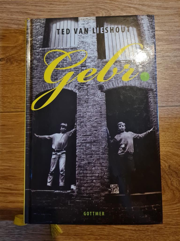 Ted van Lieshout - Gebr., Ophalen of Verzenden, Zo goed als nieuw, Ted van Lieshout