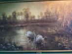 Schilderij mooi landschap met zwanen familie, Antiek en Kunst, Kunst | Schilderijen | Klassiek, Ophalen of Verzenden