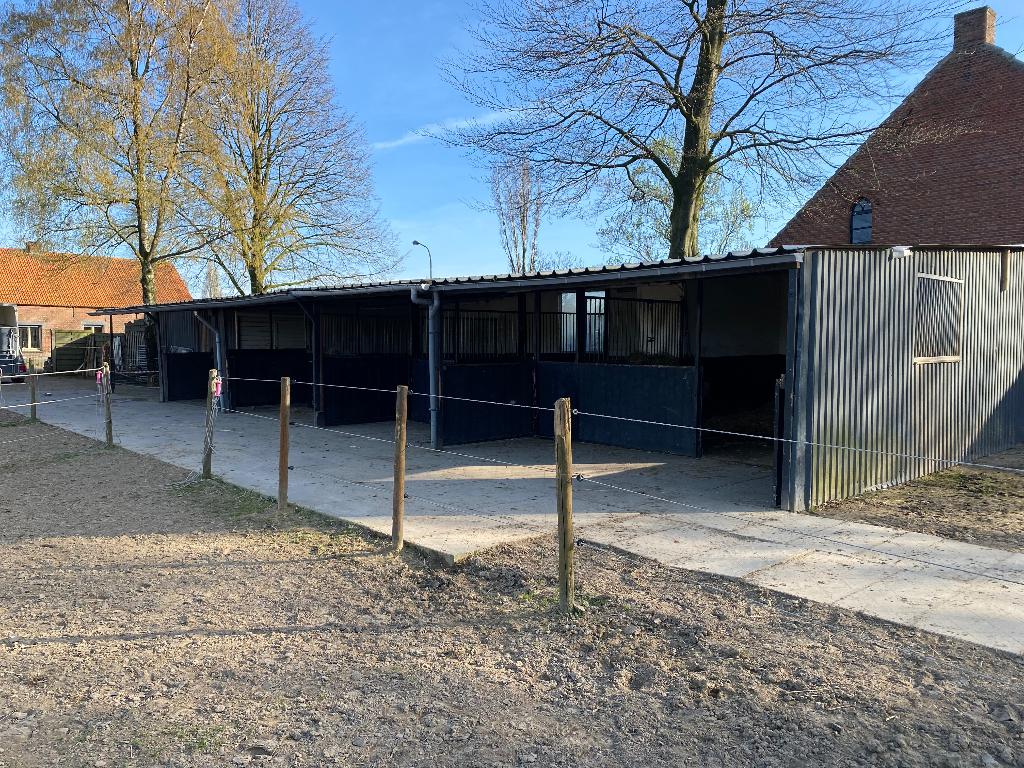 Paardenstallen, Stalling, 4 paarden of pony's of meer