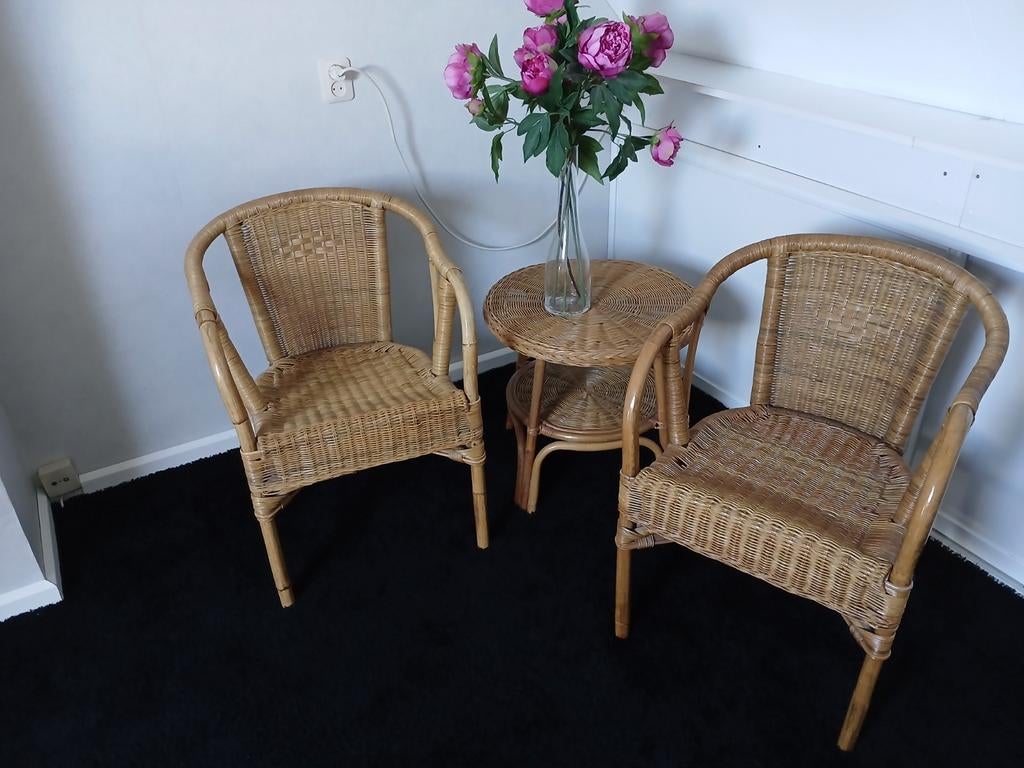 Rotan Tuinsetje, Ophalen of Verzenden, Zo goed als nieuw, Bruin, Twee