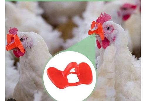 Kippen brillen / kippenbrillen, Dieren en Toebehoren, Pluimvee | Toebehoren, Nieuw, Overige typen, Ophalen of Verzenden