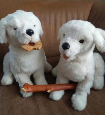 Leuke furreal friends cookie hond puppy  beschikbaar voor biedingen