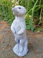 stokstaartje , tuinbeeld , aanbieding, Dierenbeeld, Ophalen of Verzenden, Atw, Beton