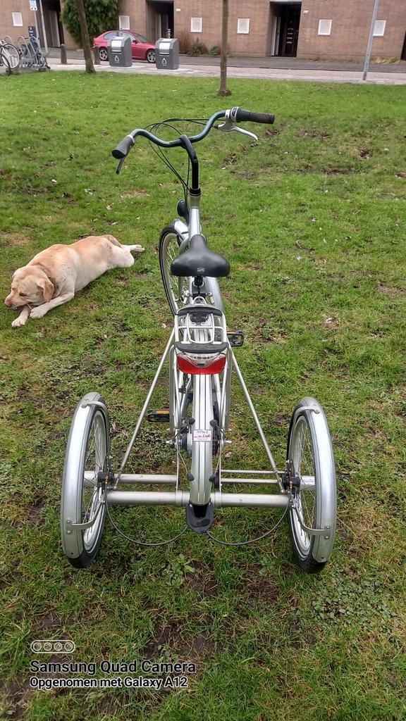 Gebruikte Driewieler voor Volwassenen, Fietsen en Brommers, Fietsen | Driewielfietsen, Gebruikt, Ophalen of Verzenden
