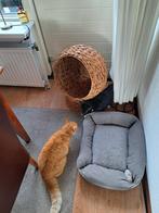 Katten mand riet, Dieren en Toebehoren, Kattenmanden, Ophalen of Verzenden, Gebruikt, Riet