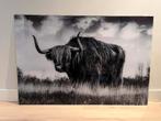 Foto op glas van oerrund 120x80cm, Huis en Inrichting, Woonaccessoires | Lijsten, Ophalen, Overige materialen, Zo goed als nieuw