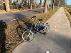 Van Raam Maxi driewielfiets, Fietsen en Brommers, Ophalen, Zo goed als nieuw