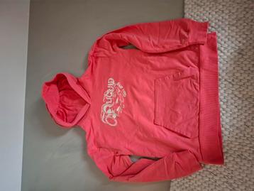 NIEUW Hoodie Quapi beschikbaar voor biedingen